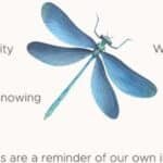Dragonfly Meaning: